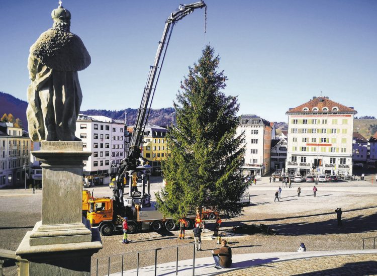 Der Christbaum landet auf dem Klosterplatz