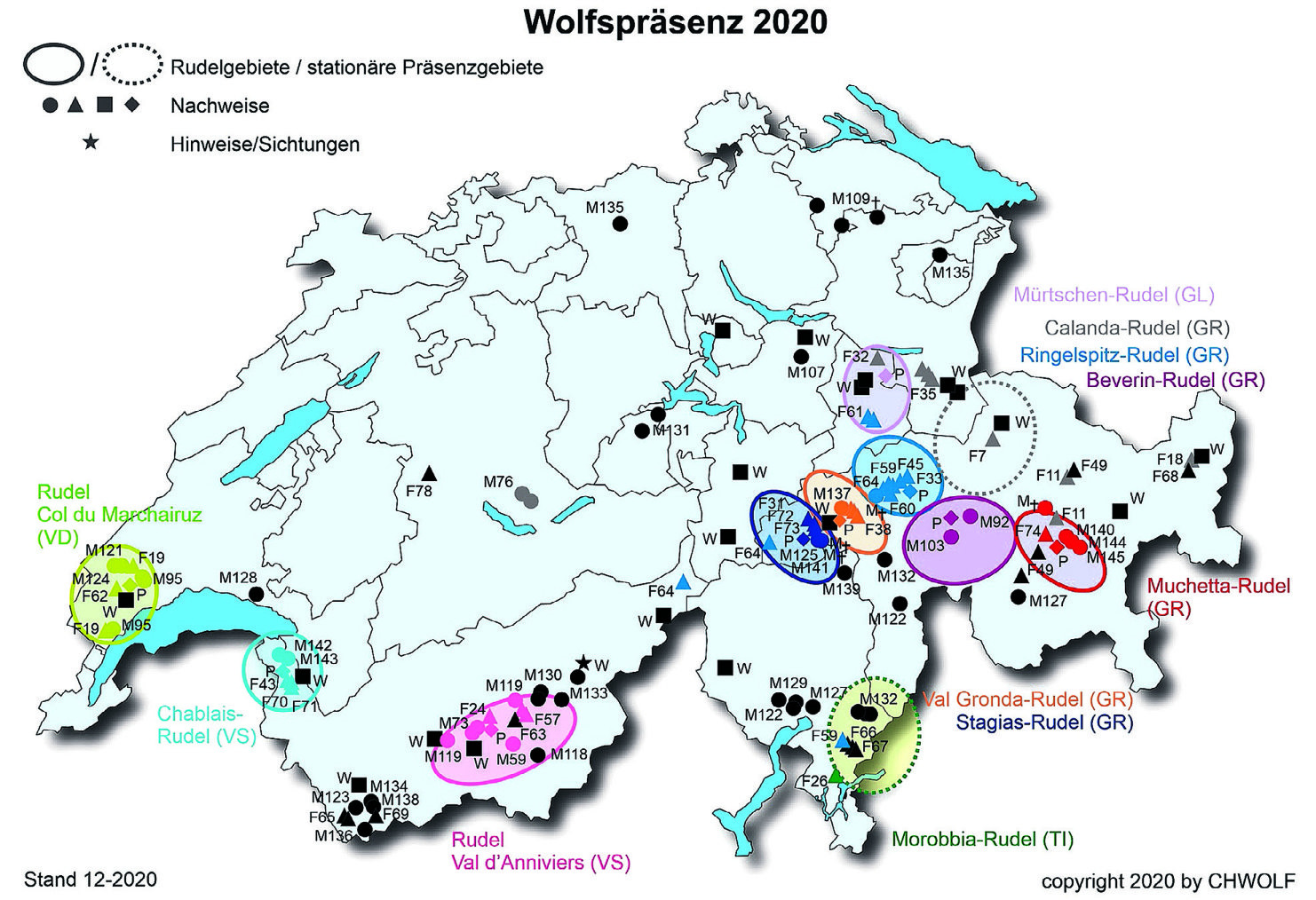 Bald bildet sich das erste  Schwyzer Wolfsrudel