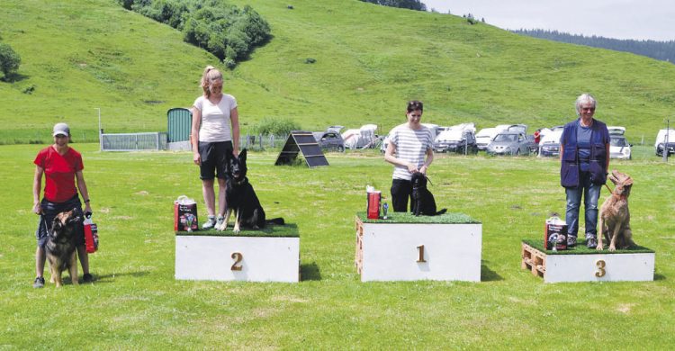 Hundesport in Rothenthurm