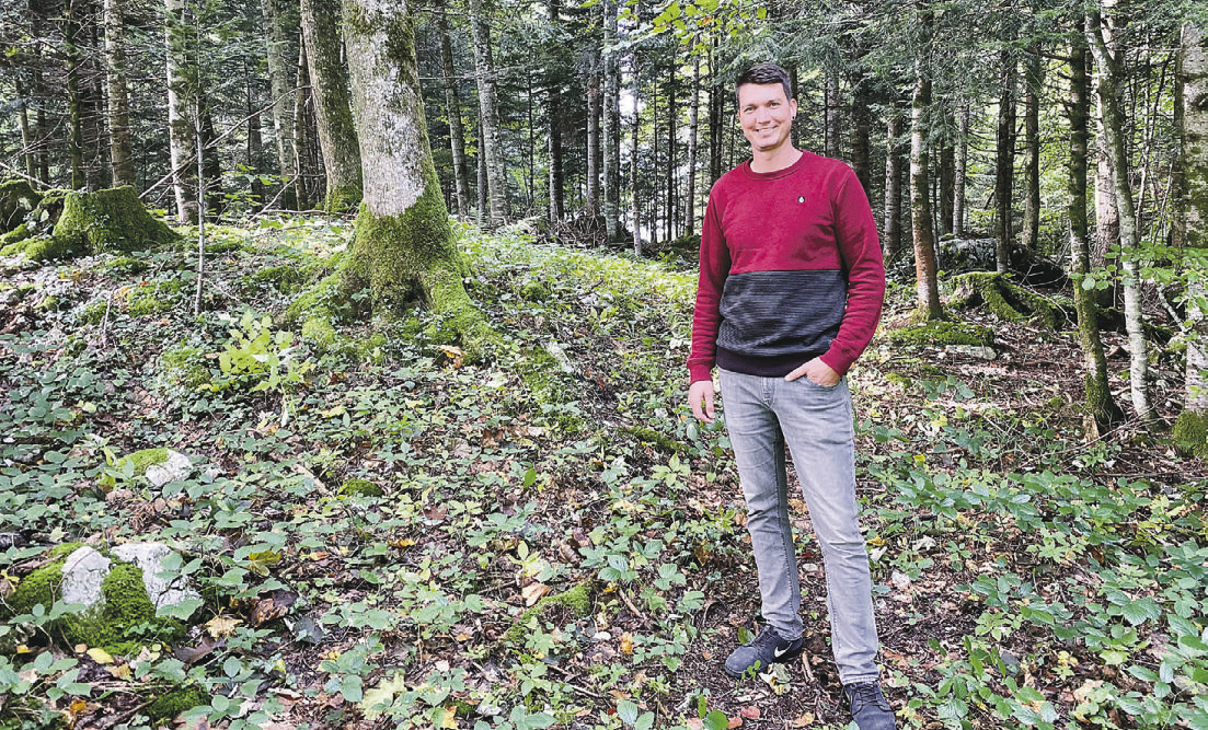 Oberhalb von Schwyz soll ein Waldfriedhof entstehen