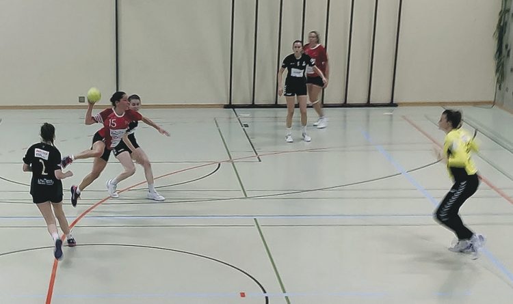 Sechs Punkte für den Handballclub Einsiedeln