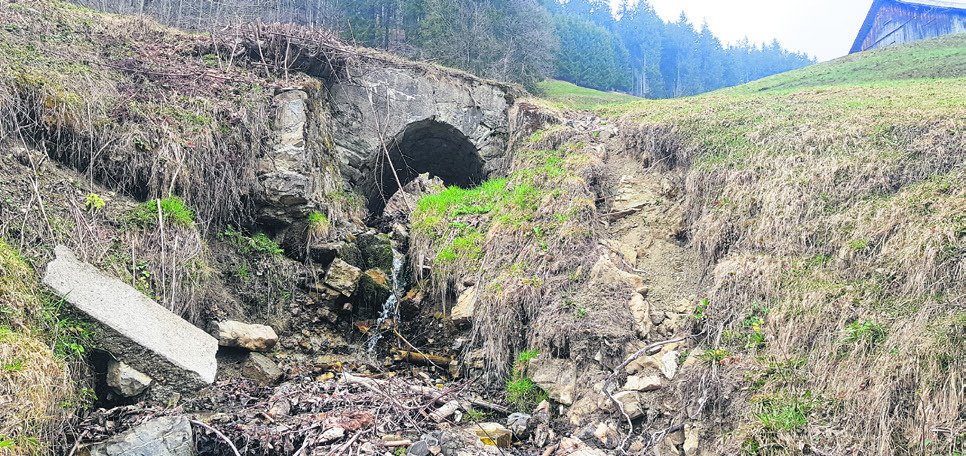 Hochwasserschutzprojekt   Alpthal